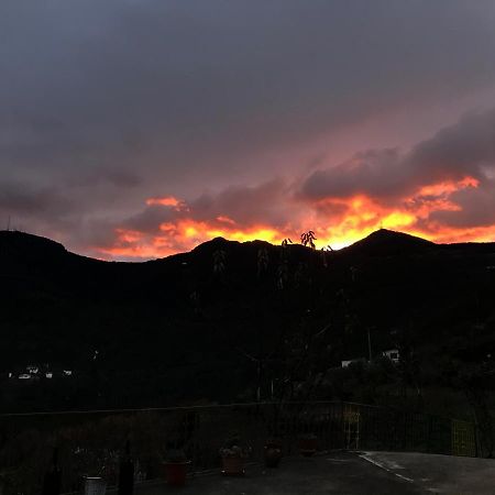 "Casa Da Russa" Mountain Experience Pensionat Vila Real Exteriör bild