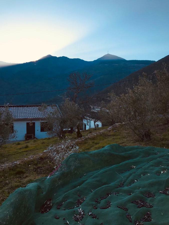 "Casa Da Russa" Mountain Experience Pensionat Vila Real Exteriör bild
